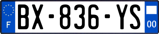 BX-836-YS