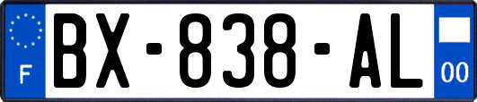 BX-838-AL