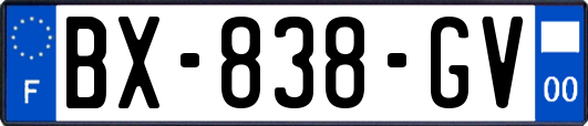 BX-838-GV