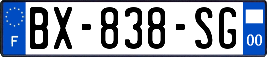 BX-838-SG