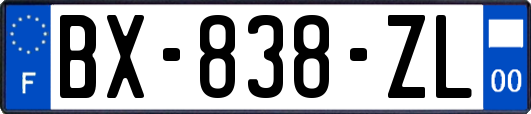 BX-838-ZL