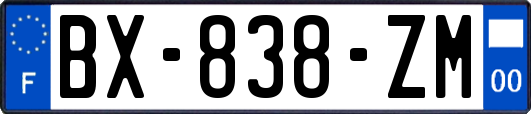 BX-838-ZM