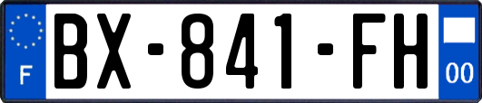 BX-841-FH