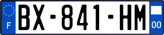 BX-841-HM