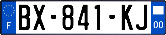 BX-841-KJ