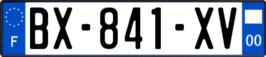 BX-841-XV