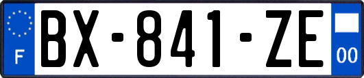 BX-841-ZE