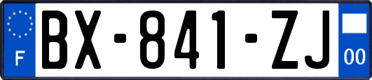 BX-841-ZJ