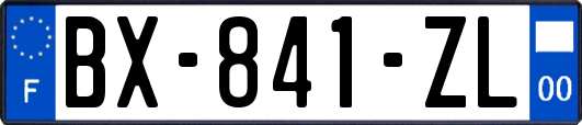 BX-841-ZL