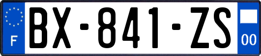 BX-841-ZS