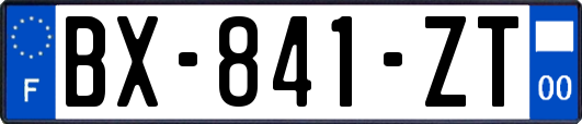 BX-841-ZT