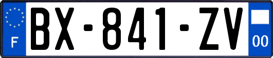 BX-841-ZV