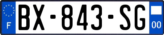BX-843-SG