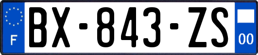 BX-843-ZS