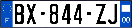 BX-844-ZJ