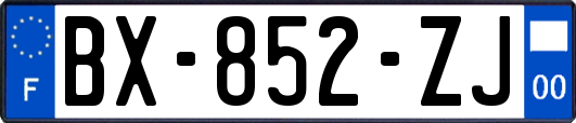 BX-852-ZJ