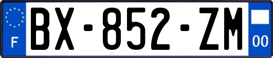 BX-852-ZM