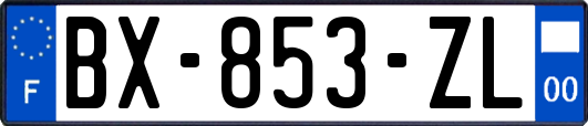 BX-853-ZL