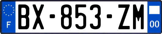 BX-853-ZM