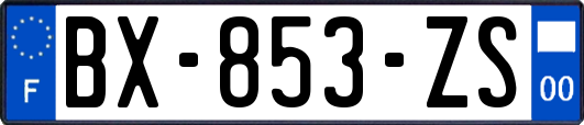 BX-853-ZS