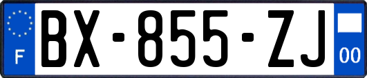 BX-855-ZJ