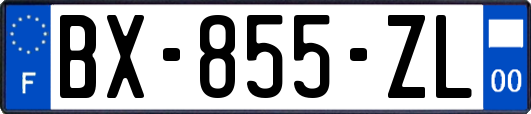 BX-855-ZL