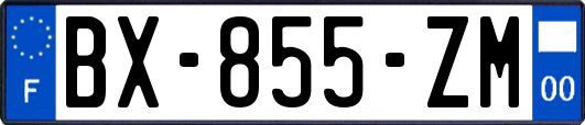 BX-855-ZM