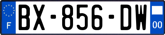 BX-856-DW