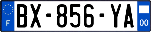 BX-856-YA