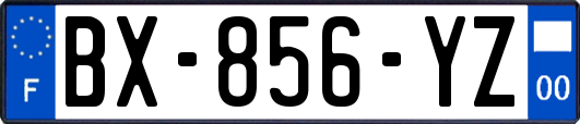 BX-856-YZ