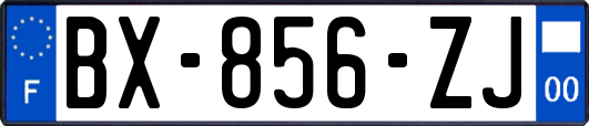 BX-856-ZJ