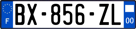 BX-856-ZL