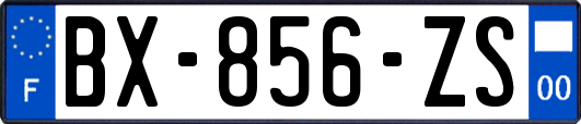 BX-856-ZS