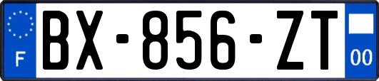 BX-856-ZT