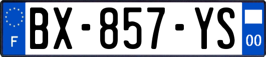 BX-857-YS