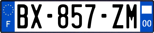 BX-857-ZM