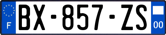 BX-857-ZS