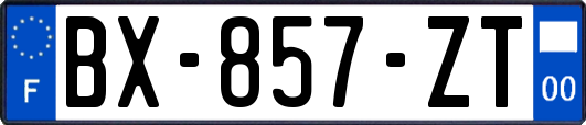 BX-857-ZT