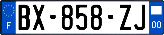 BX-858-ZJ