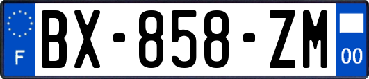 BX-858-ZM