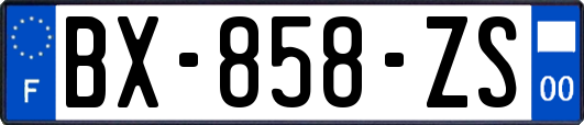 BX-858-ZS