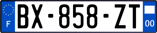 BX-858-ZT