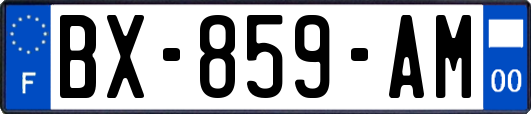 BX-859-AM