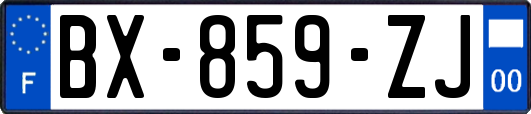 BX-859-ZJ