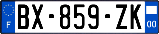 BX-859-ZK