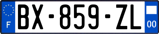 BX-859-ZL