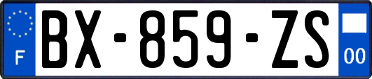 BX-859-ZS