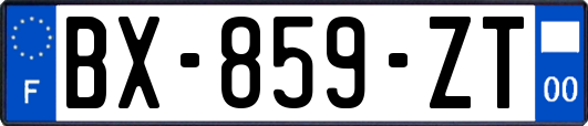 BX-859-ZT