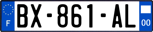 BX-861-AL