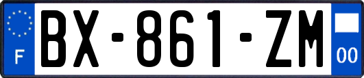 BX-861-ZM